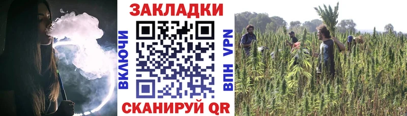 Где купить наркотики Каменногорск mega вход СК Меф мяу мяу Галлюциногенные грибы Бошки Шишки АМФ