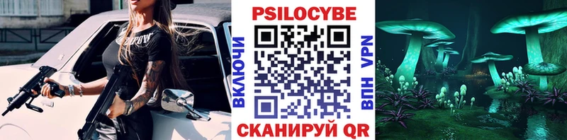 Псилоцибиновые грибы GOLDEN TEACHER  Каменногорск 